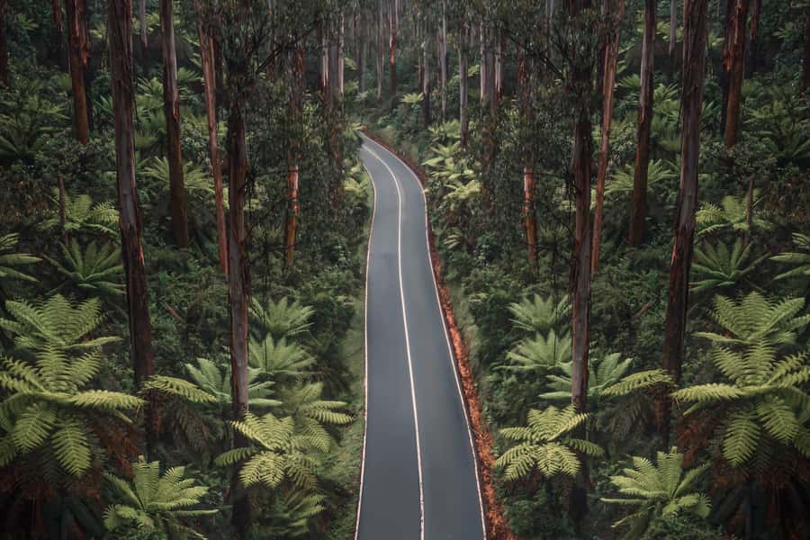 Melbourne: Lake Mountain Snow Day and Waterfalls & Chocolate - Comfort, Rules, and What to Pack (So You Do Not Regret Anything)