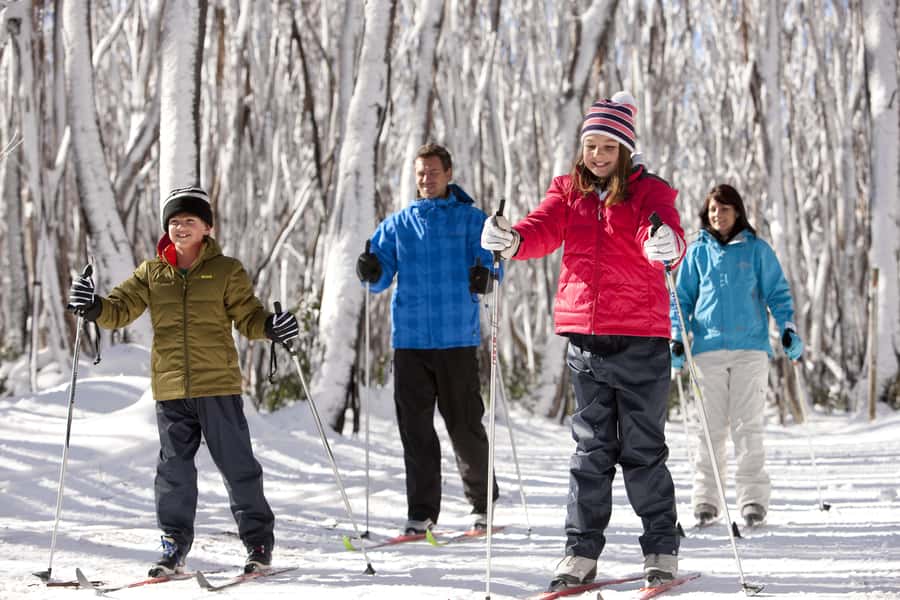 Melbourne: Lake Mountain Snow Day and Waterfalls & Chocolate - Black Spur Road: The Winter Scenic Bonus You Will Enjoy From the Windows