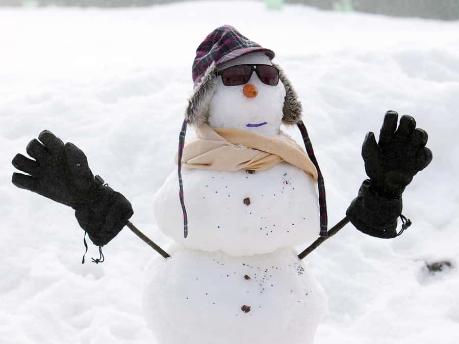 Melbourne: Lake Mountain Snow Guided Tour - 3 Hours of Snow Fun at Lake Mountain: What You Can Actually Do