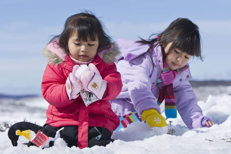 Melbourne: Lake Mountain Snow Guided Tour - Yarra Valley Chocolaterie and Ice-creamery: Free Samples That Make the Day