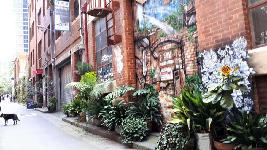 Melbourne Laneways Tour - Price and value: what $91 buys you in 3 hours
