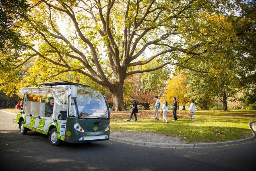 Melbourne: Melbourne Gardens Explorer Minibus Tour - Key things I’d focus on before you go