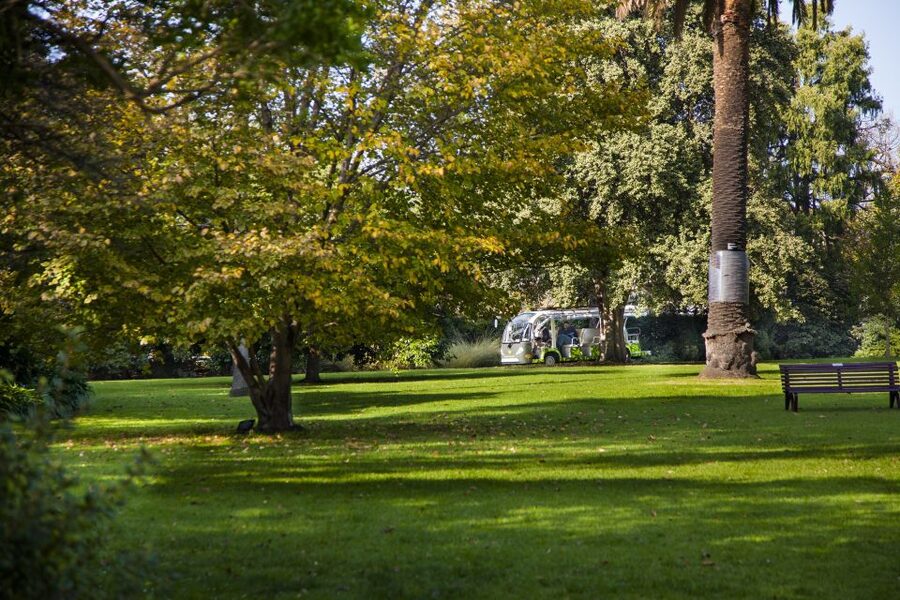 Melbourne: Melbourne Gardens Explorer Minibus Tour - Open-air minibus experience, live guides, and photo stops