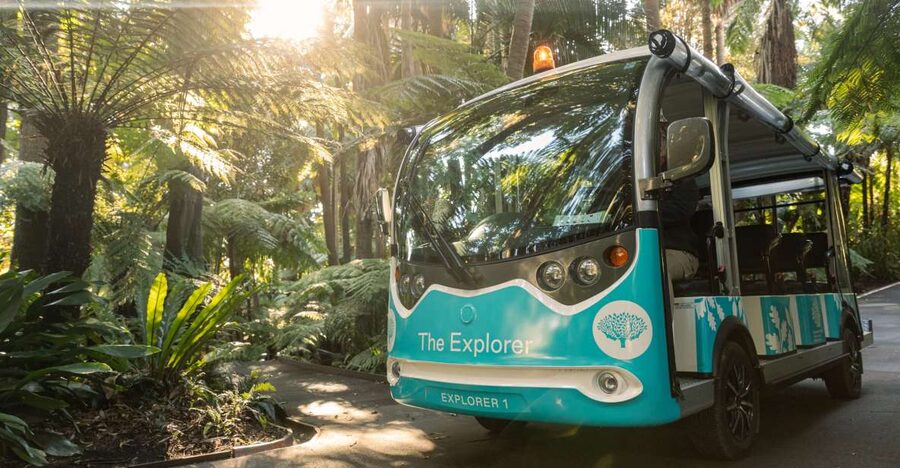 Melbourne: Melbourne Gardens Explorer Minibus Tour - Price and value for $10, with entry included