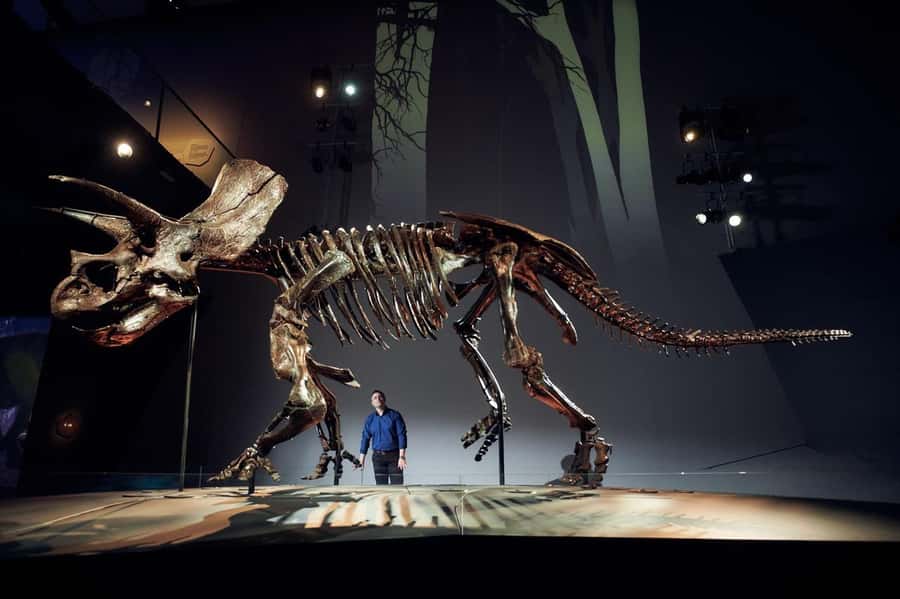 Melbourne: Melbourne Museum Entry Ticket - Key things you will notice right away