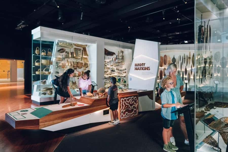 Melbourne: Melbourne Museum Entry Ticket - Forest Gallery: where Victoria’s living world sets the mood