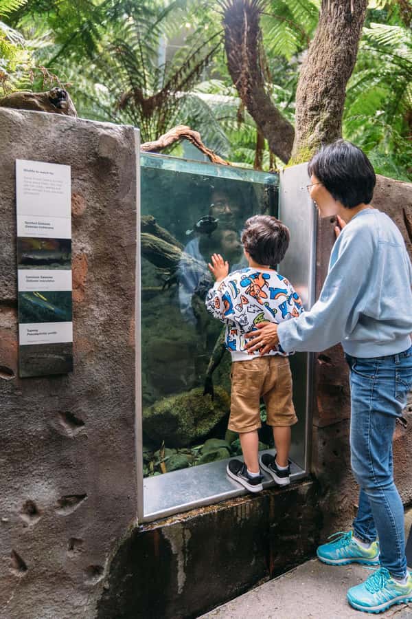 Melbourne: Melbourne Museum Entry Ticket - What’s included, what’s not, and the practical value check