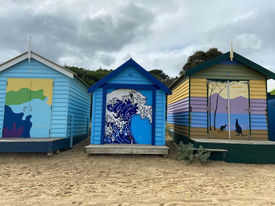 Melbourne: Moonlit Sanctuary and Brighton Beach Boxes Tour - Key points before you go