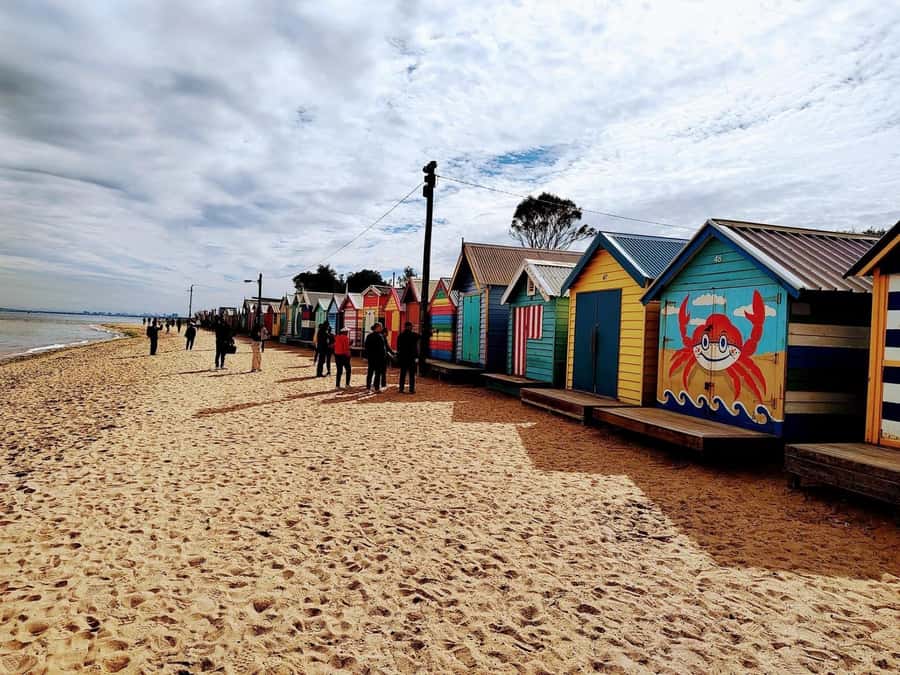 Melbourne: Moonlit Sanctuary and Brighton Beach Boxes Tour - FAQ