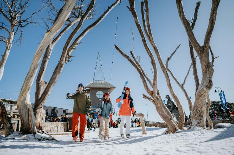 Melbourne: Mt Buller Snow Tour-Save on Hire & True 5 Hrs Fun - Who This Tour Fits Best
