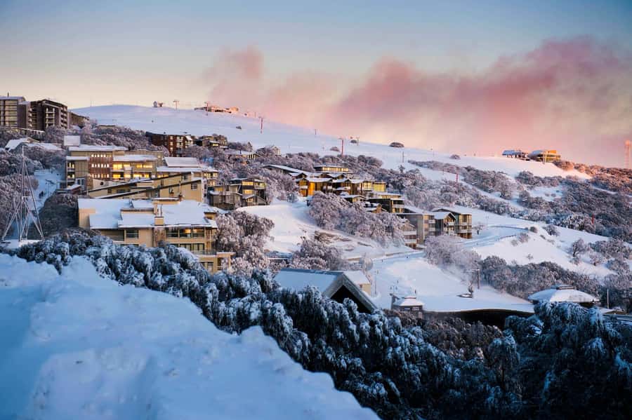 Melbourne: Mt Buller Snowy Escape Trip - 6 Hours of Snow Fun - The Yea break is not just a toilet stop