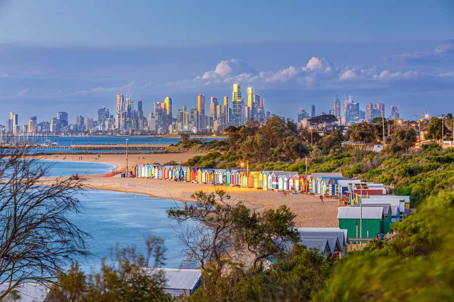 Melbourne: Penguin Parade , Koala & Brighton Bathing Boxes - The 10-hour route from central Melbourne to Phillip Island