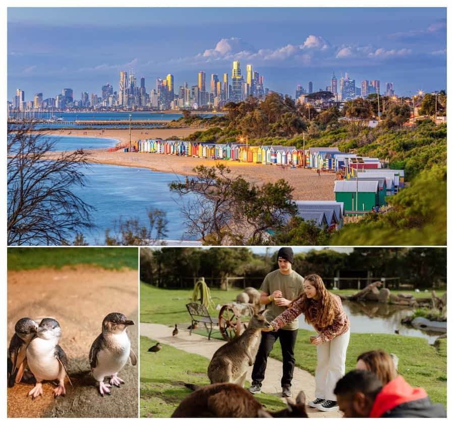 Melbourne: Penguin Parade , Koala & Brighton Bathing Boxes - Brighton Bathing Boxes: the color blast that kicks off the day