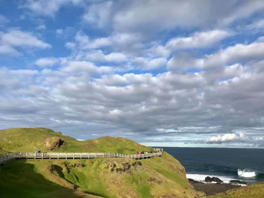 Melbourne: Penguin Parade & Phillip Island Scenic Day Tour - Penguin Parade: how the tour helps you watch the penguins well