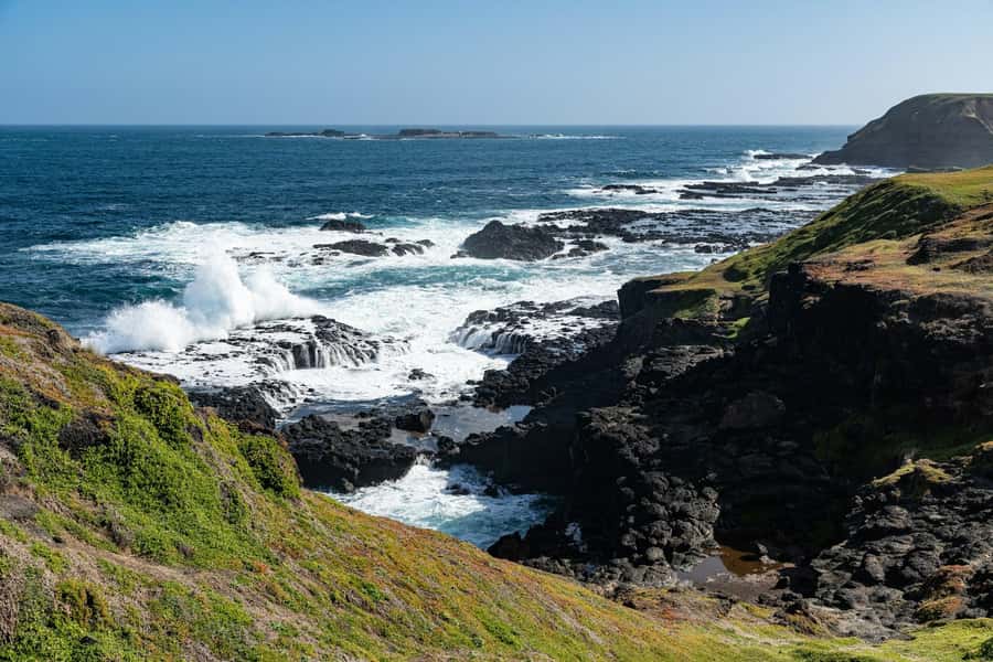 Melbourne: Penguin Parade & Phillip Island Scenic Day Tour - Pickup in Melbourne, plus how the schedule can shift