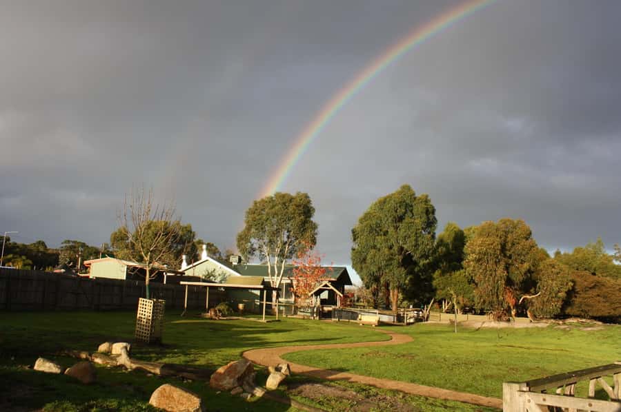 Melbourne: Penguin Parade Tour with Puffing Billy Train Ride - The Nobbies Viewpoint and your dinner plan near Cowes