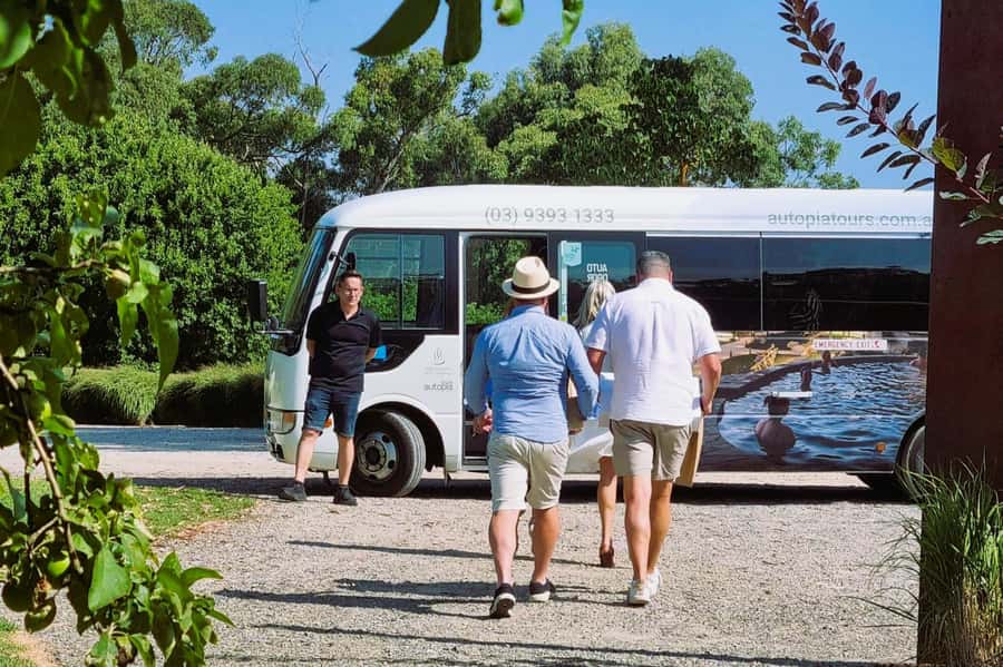 Melbourne: Peninsula Hot Springs Early Bathing & Scenic Tour - 50-plus geothermal baths, and how to choose what to do