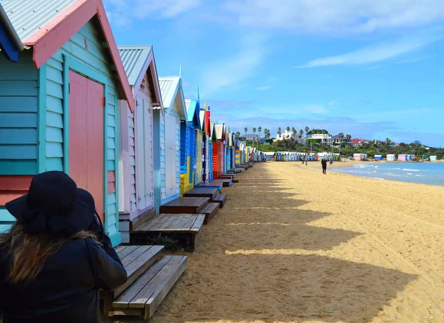 Melbourne: Peninsula Sightseeing Driving Day Tour - A Private 4-Hour Loop Beyond Melbourne’s Usual Stops