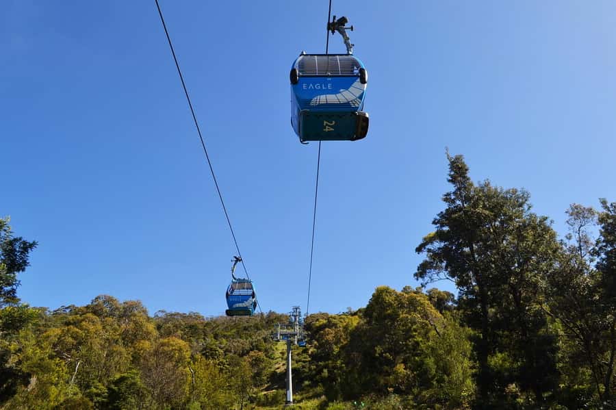 Melbourne: Peninsula Sightseeing Driving Day Tour - Why This $176 Private Price Can Make Sense