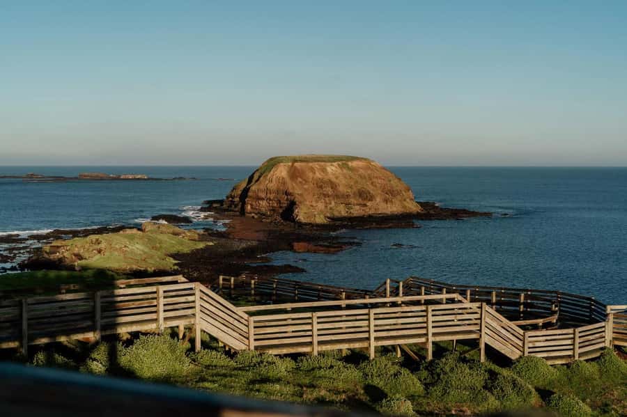 Melbourne: Phillip Island Penguin Parade Watching Day Tour - The Nobbies Viewpoint: sea views and wildlife viewing without the guesswork