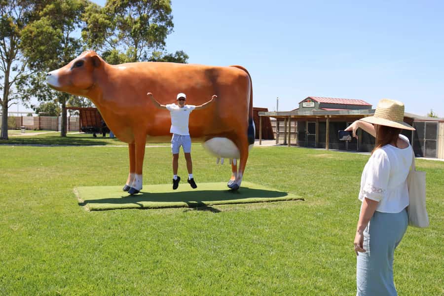 Melbourne：Phillip Island Tour 1 Day Tour - Should you book the Melbourne Phillip Island 1 day tour?