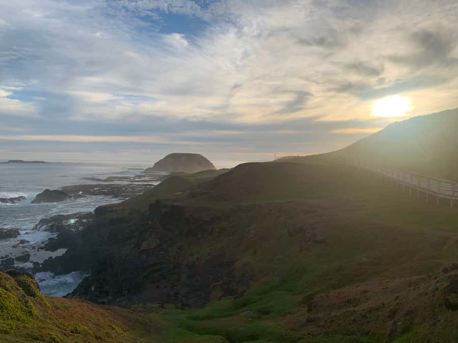 Melbourne: Phillip Island Tour & Penguin Parade - How the day flows from Melbourne to Phillip Island