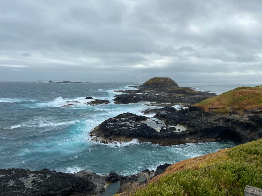 Melbourne: Phillip Island Tour & Penguin Parade - Should you book the Melbourne Phillip Island Tour & Penguin Parade?