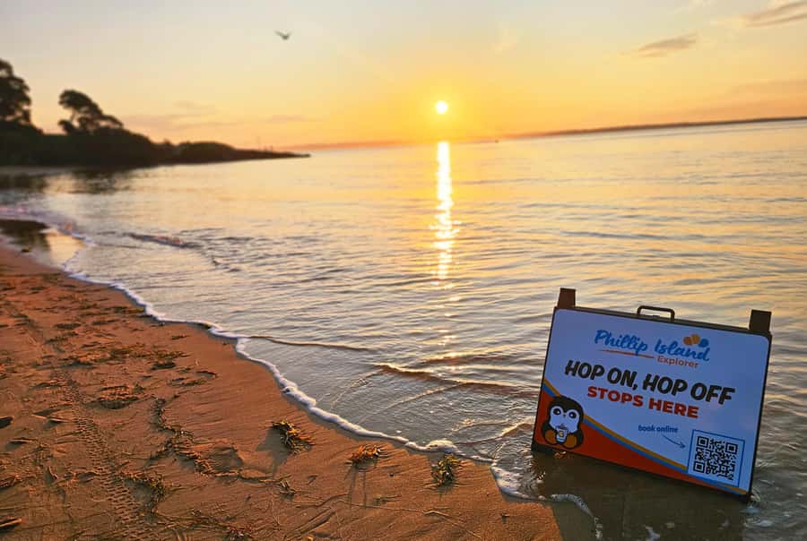 Melbourne: Phillip Island Tour w/ Hop-on Bus or Seal Cruise - Penguin Parade at sunset: what you are really going to see
