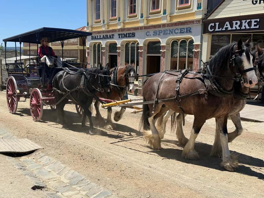 Melbourne: Private Ballarat & Sovereign Hill Gold Mine Tours - St Anne’s Winery Ballarat: wine tasting without turning the day into a detour