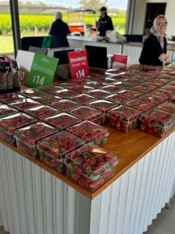 Melbourne: Private Ballarat & Sovereign Hill Gold Mine Tours - Ballarat breaks: gardens, chocolate, and seasonal fruit and honey
