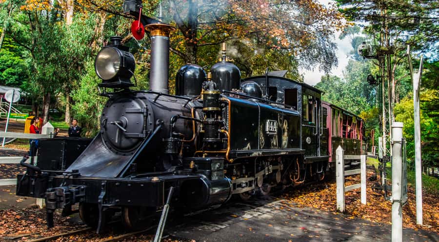 Melbourne: Puffing Billy & Healesville Sanctuary Scenic Tour - 8 Hours of Pacing: What Feels Balanced, What Feels Busy