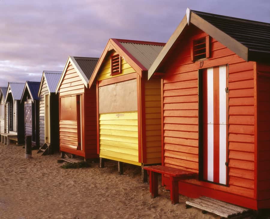 Melbourne: Puffing Billy Penguin Parade Brighton Boxes Tour - Who should book this day trip, and who might want a different plan