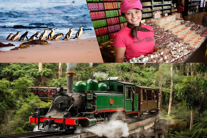 Melbourne Puffing Billy Penguin wine choc(16 max) Hotel Pick Up - Key highlights worth your attention