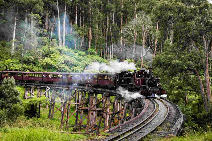 Melbourne: Puffing Billy Railway & Penguin Parade Day Tour - Key highlights you’ll care about