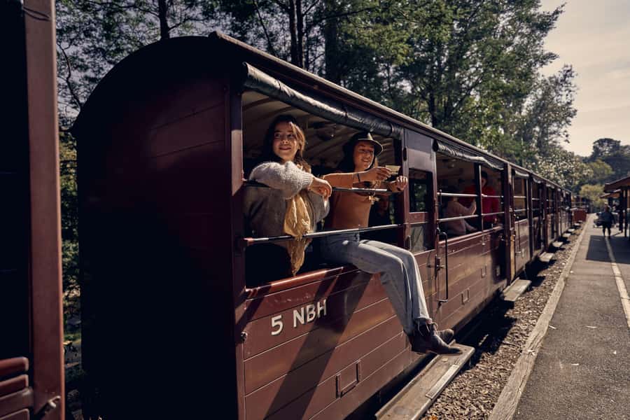 Melbourne: Puffing Billy Railway & Penguin Parade Day Tour - Puffing Billy Steam Railway: where the train ride actually feels special