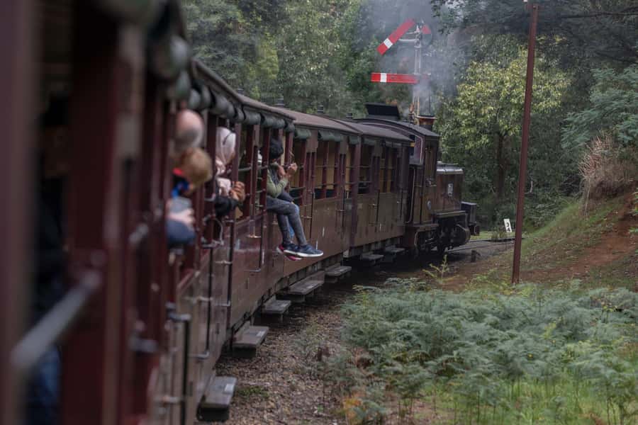 Melbourne: Puffing Billy Railway & Penguin Parade Day Tour - Guides, timing, and why small choices matter