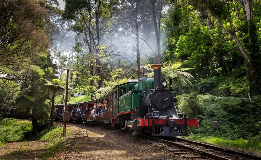 Melbourne: Puffing Billy Railway & Rainforest Tour - Lakeside Station: free time, steam history, and a place to cool off