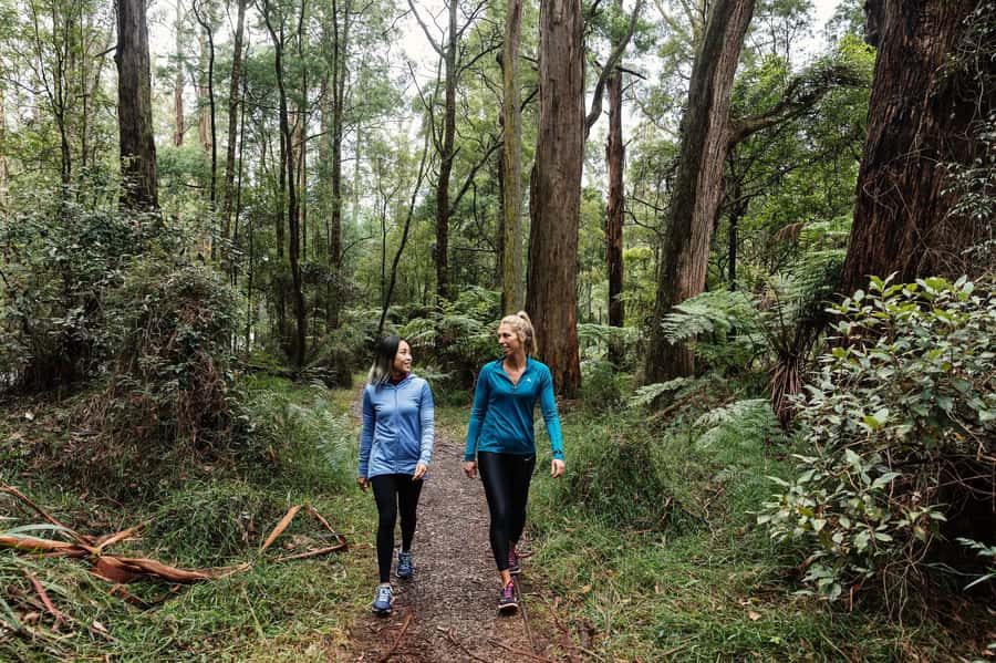 Melbourne: Puffing Billy Railway & Rainforest Tour - Timing, comfort, and what to pack so the day feels easy