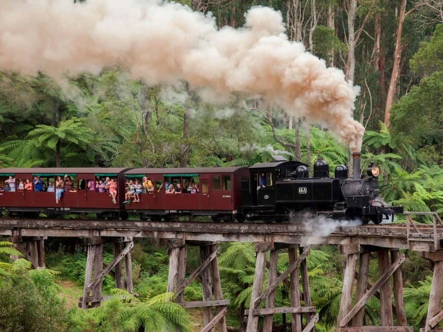 Melbourne: Puffing Billy Steam Train and Philip Island - Riding Puffing Billy, what you’re paying for (and why it matters)