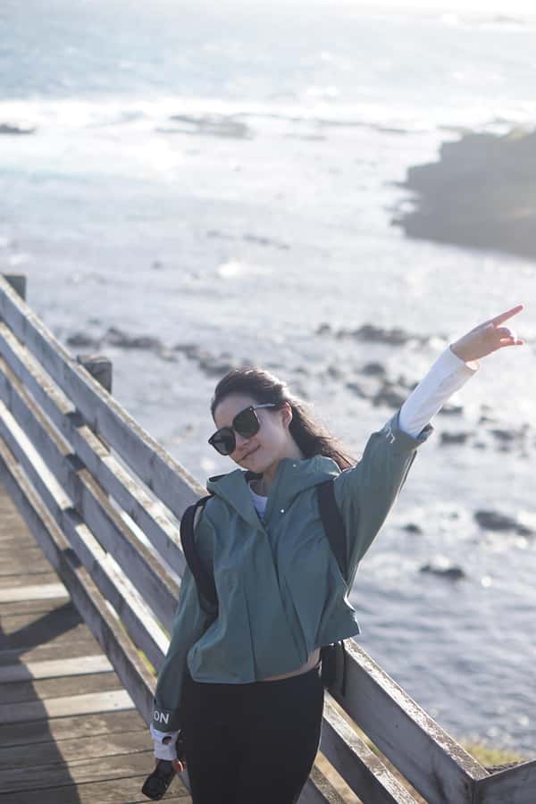 Melbourne: Puffing Billy Train and Penguin Island Day Tour - How this day tour really works, Puffing Billy to Phillip Island