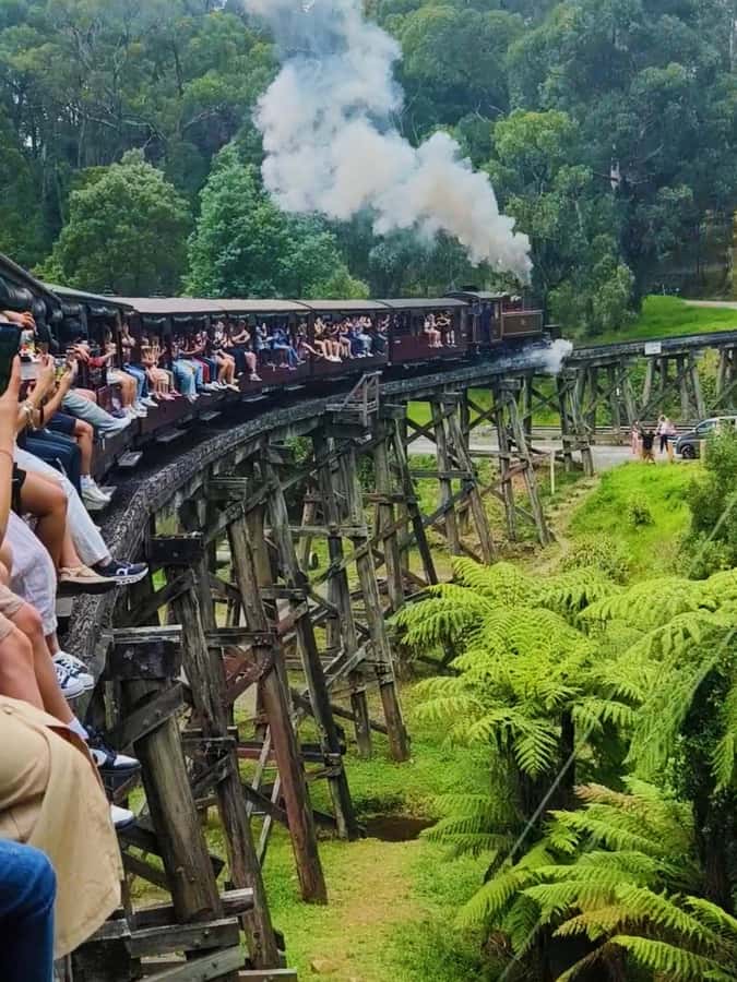 Melbourne: Puffing Billy Train and Penguin Island Day Tour - Coach ride to the Dandenong Ranges: the lead-in to Puffing Billy