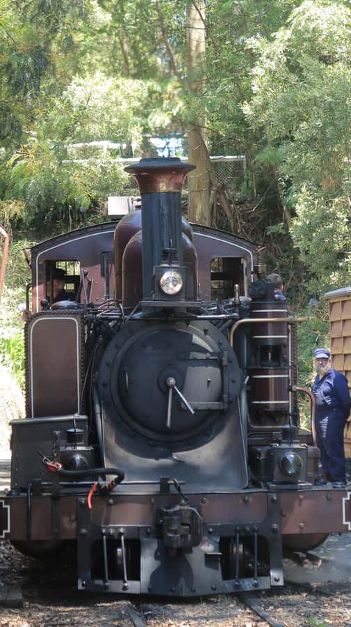 Melbourne: Puffing Billy Train and Penguin Island Day Tour - The Melbourne pick-ups and why they matter
