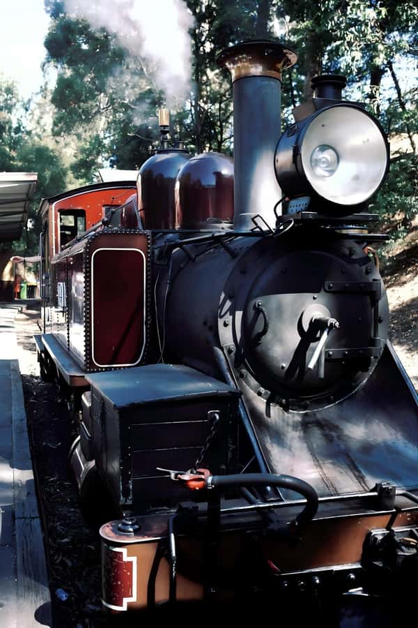 Melbourne: Puffing Billy Train & Healesville & Winery Tour - Brighton Beach Bathing Boxes, then straight out of the city