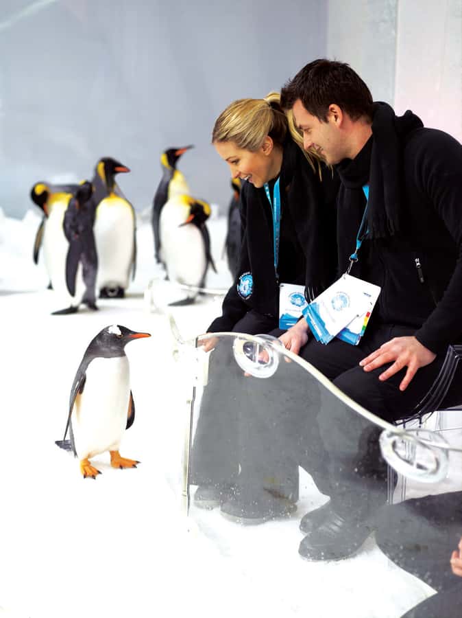Melbourne: SEA LIFE Aquarium Entrance Ticket - Getting There: Flinders and King by the Yarra River