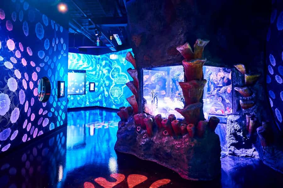 Melbourne: SEA LIFE Aquarium Entrance Ticket - When Things Go Wrong: Crowds, Closures, and the Occasional Tech Glitch
