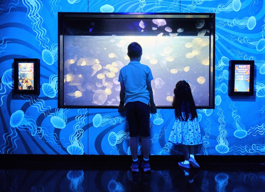 Melbourne: SEA LIFE Aquarium Entrance Ticket - Bay of Rays and the Sting Ray Factor