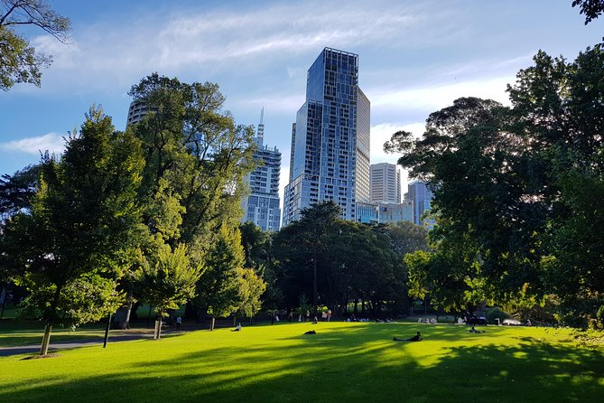 Melbourne Sights & Sounds Private Tour - Getting picked up, then rolling out in comfort