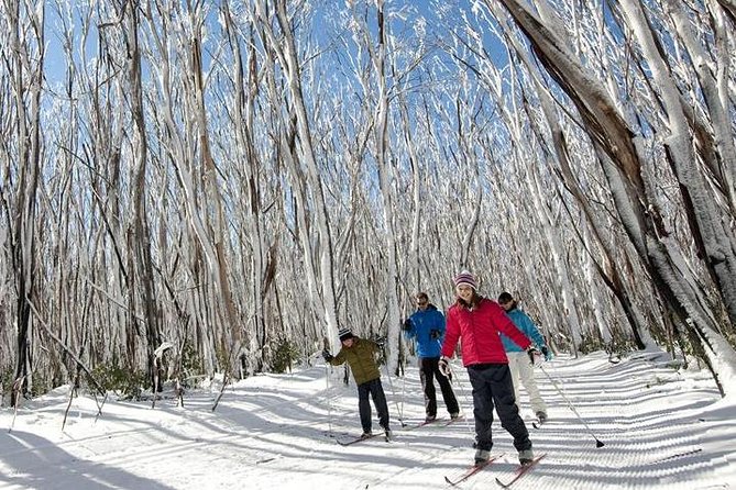 Melbourne Snow Trip to Lake Mountain with Chocolates & Waterfalls - From Healesville to Lake Mountain Alpine Resort: what you get for your time