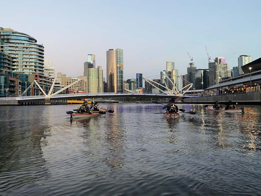Melbourne: Sunset Kayak Tour with Dinner - Price and value: what $84 buys you, and where you should judge it