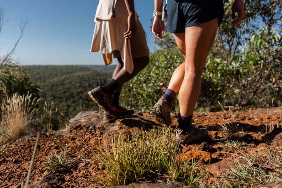 Melbourne to Adelaide: 2-Day Overland Explorer Tour - Finishing the day in the Grampians: Halls Gap arrival and an early start